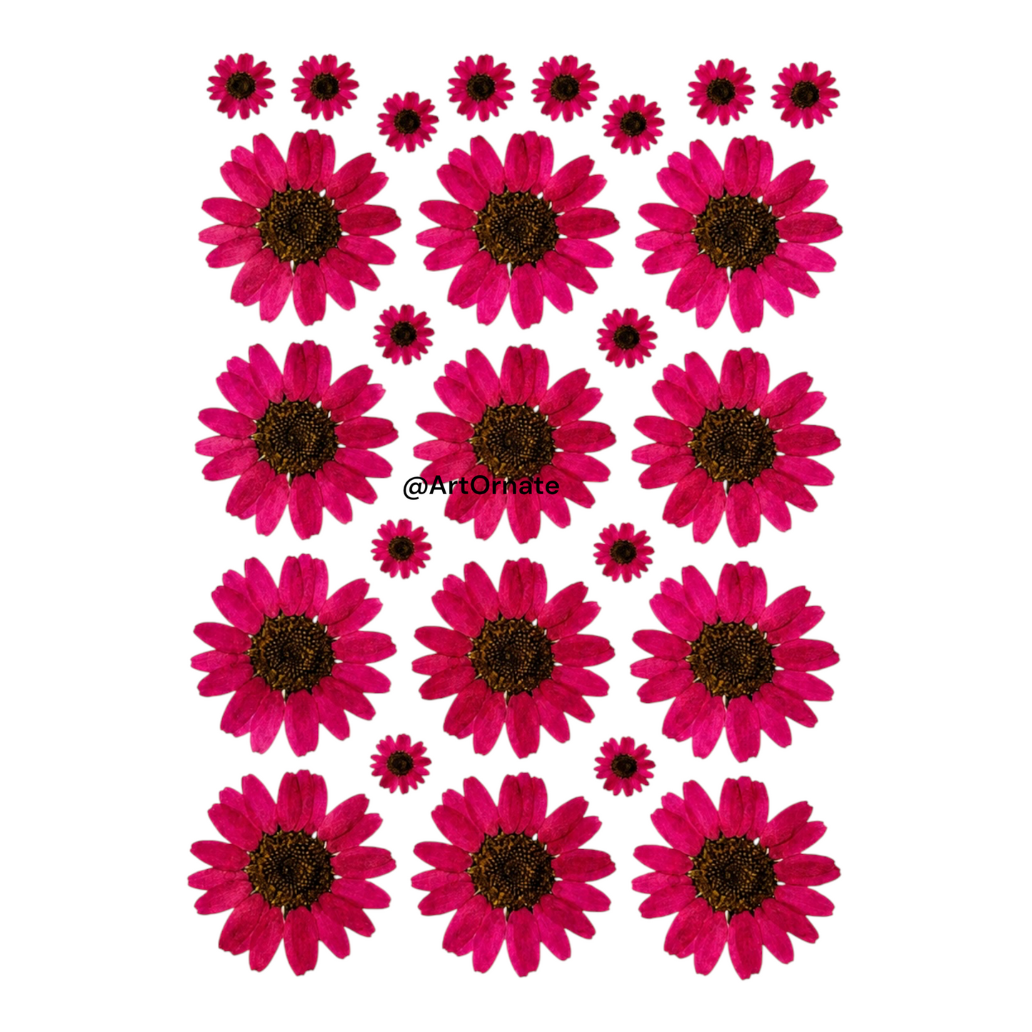 Dark Pink Daisy Flower UV DTF Sticker (UV059)
