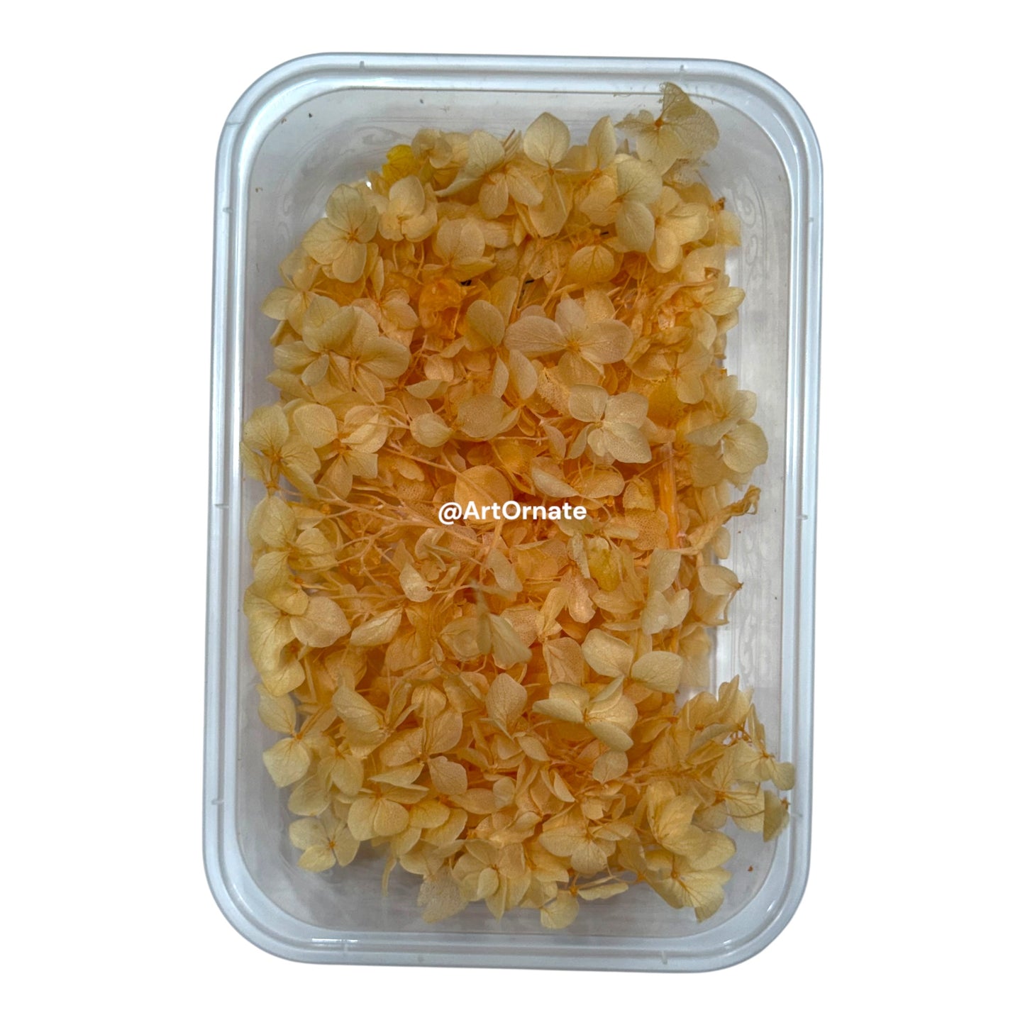 Dry Hydrangea Flower Box (MG20590)