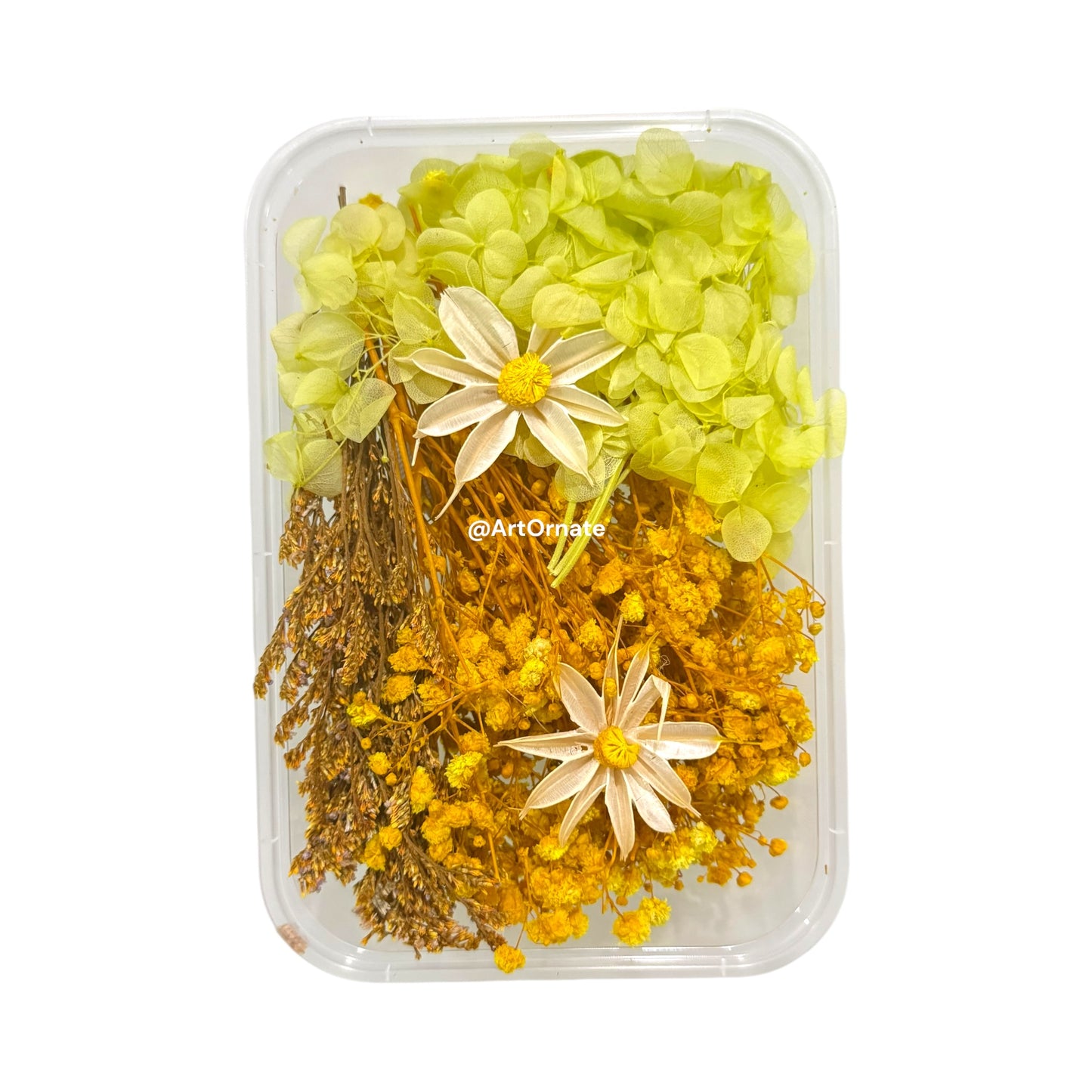 Dry Flower Box (ART09)