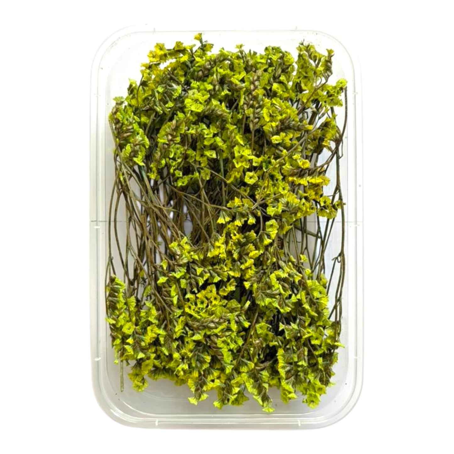 Dry flowers box for resin art, candle making and handmade DIY crafts