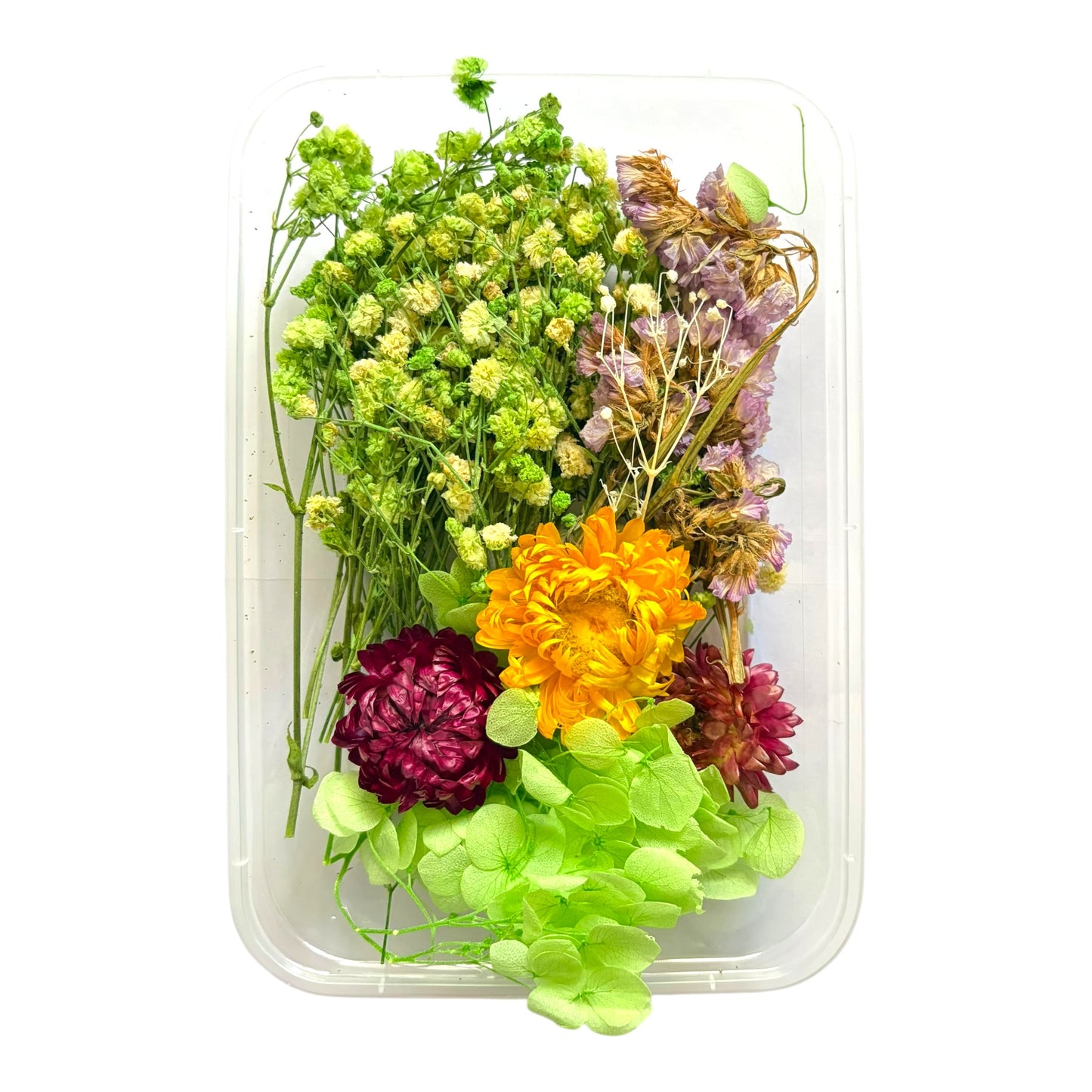 Real dry flowers box with natural preserved flowers for resin art and candle making projects in India
