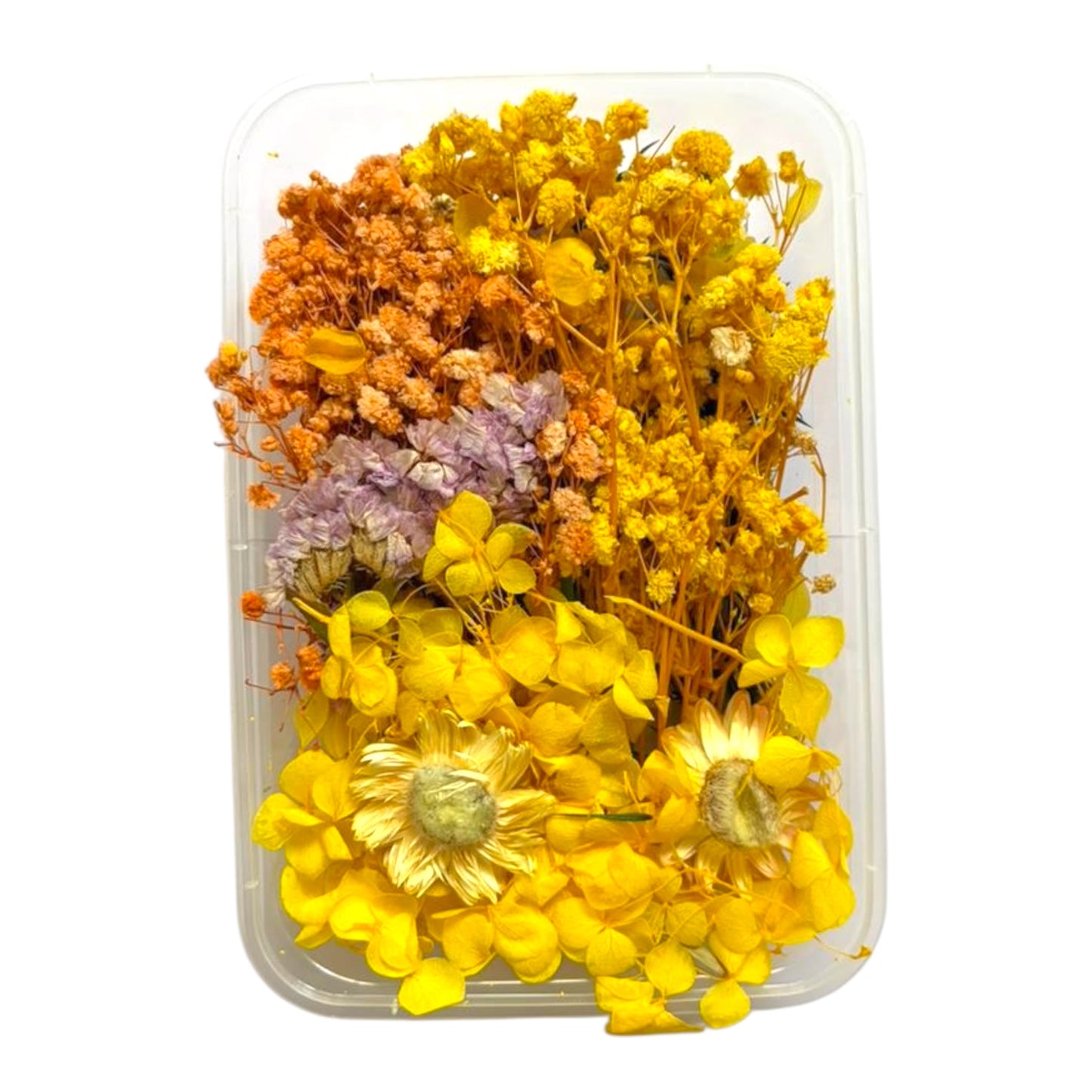 Natural preserved flowers for epoxy resin crafts and DIY art projects