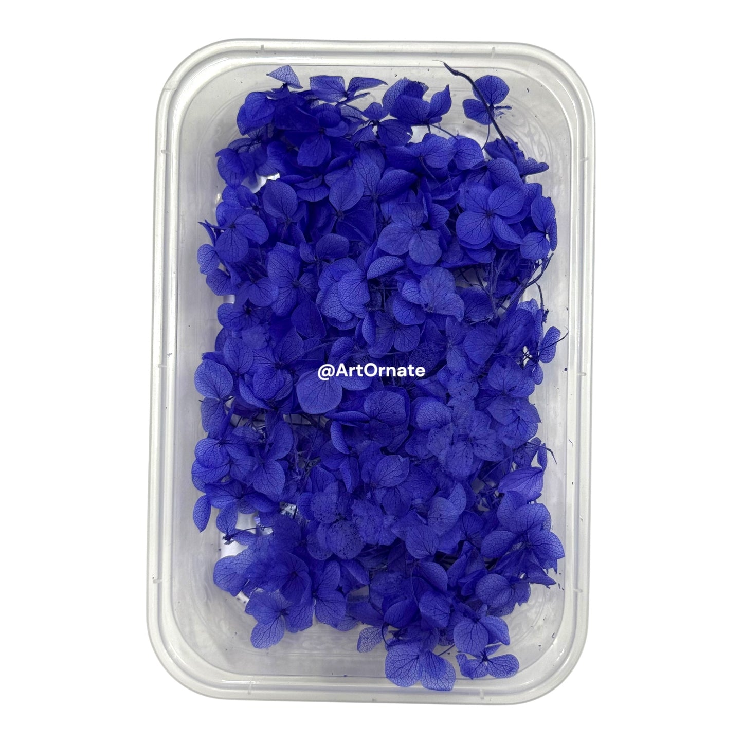 Dry Hydrangea Flower Box (MG20587)