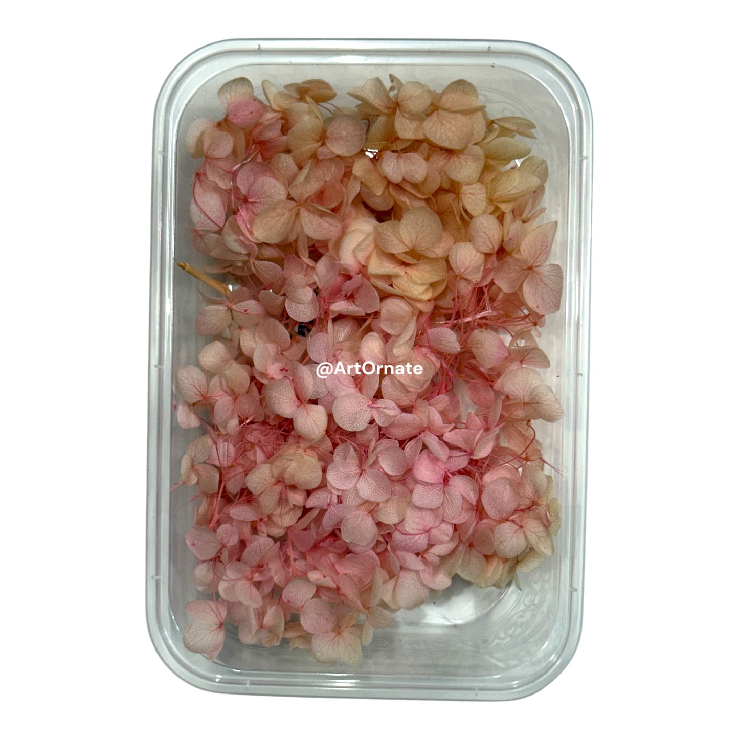 Dry Hydrangea Flower Box (MG20583)