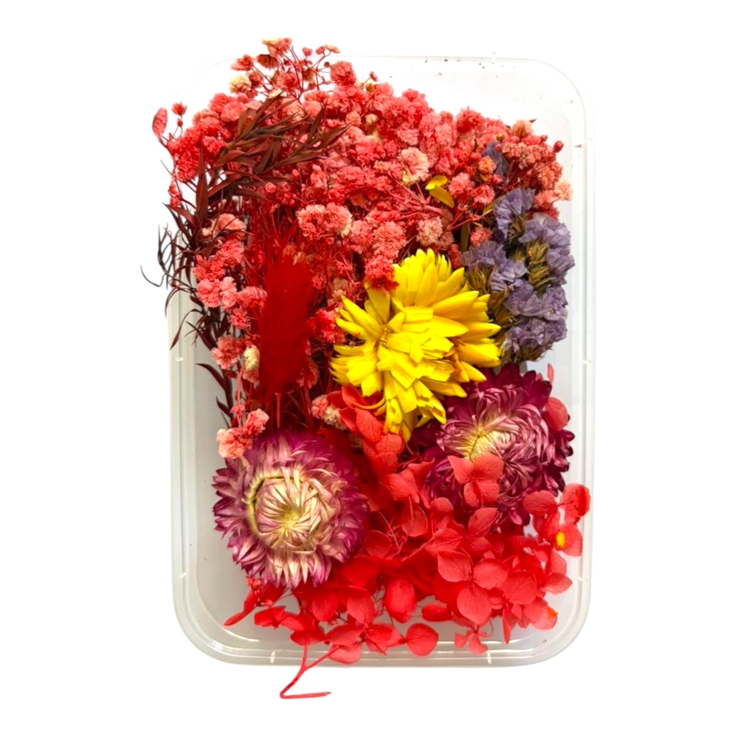 Premium real dried flowers box for resin artists and candle makers across India