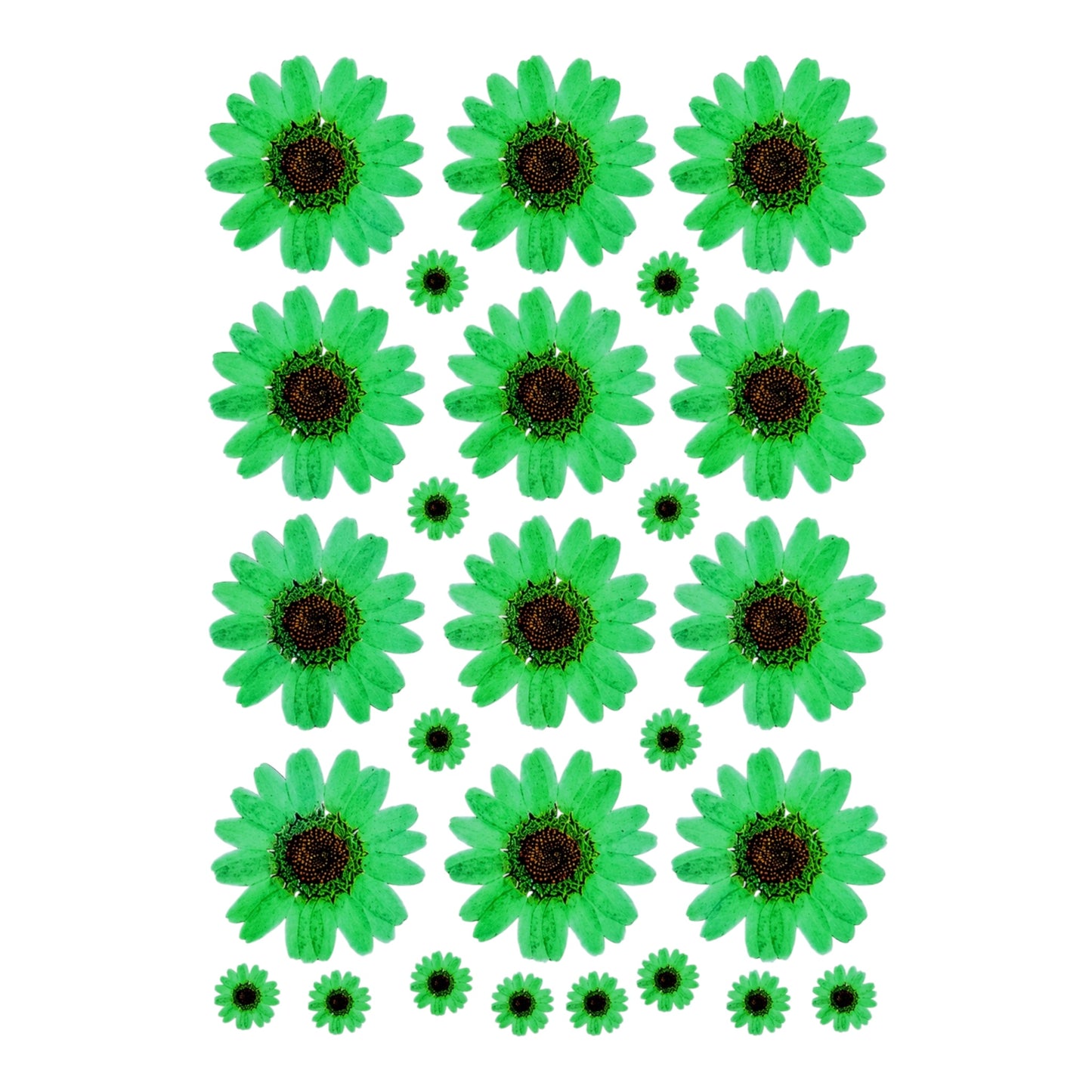 Flower UV DTF Sticker (UV081)
