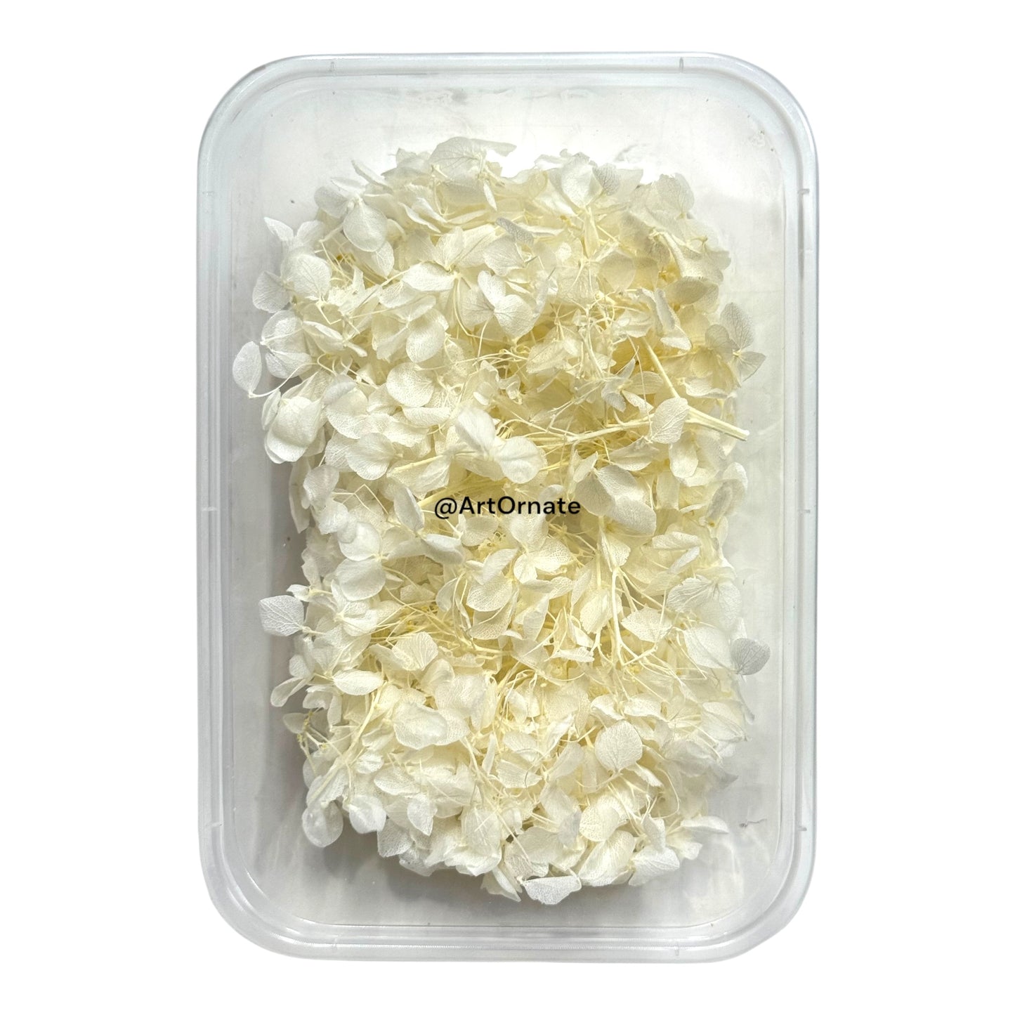 Dry Hydrangea Flower Box (MG20586)