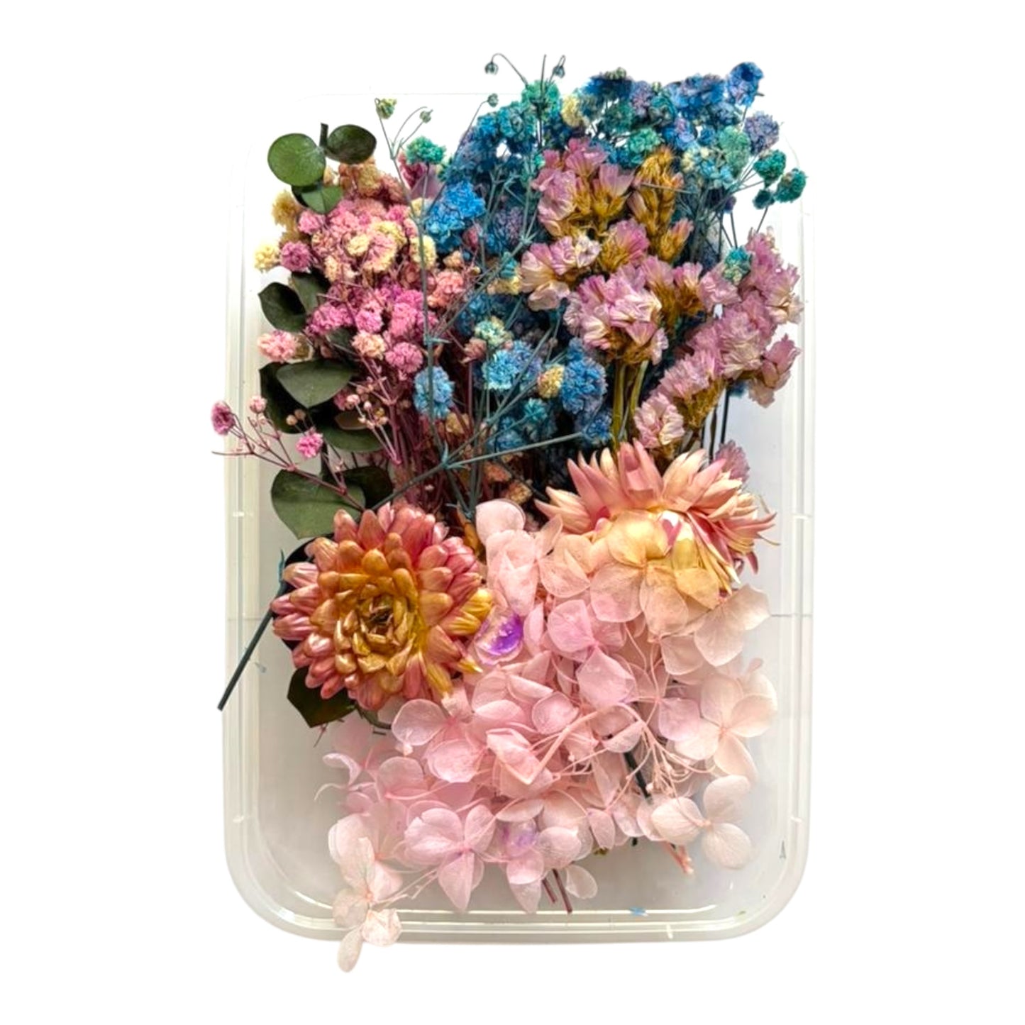 Assorted real dried flowers for epoxy resin jewellery, frames and decorative candle making
