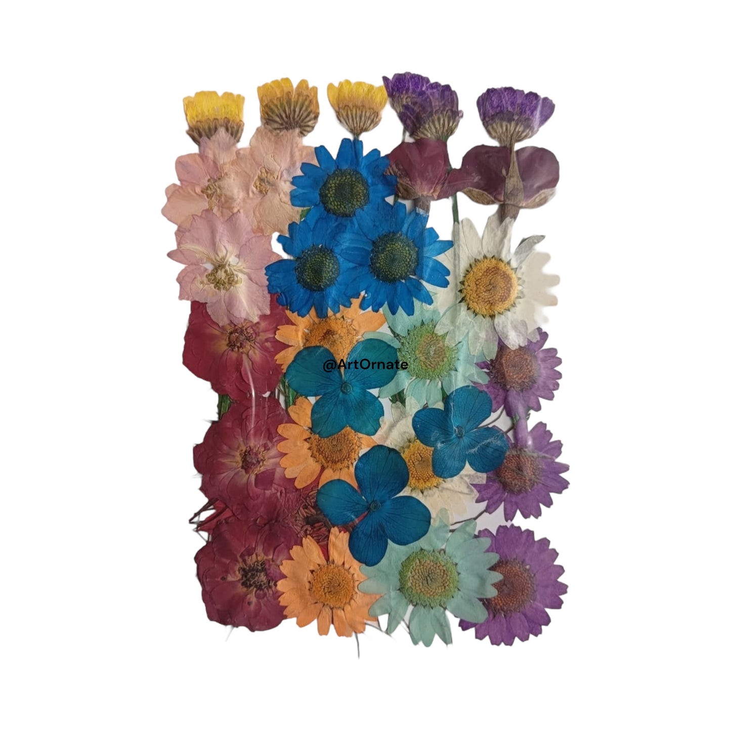 PRESSED FLOWER (FL516)