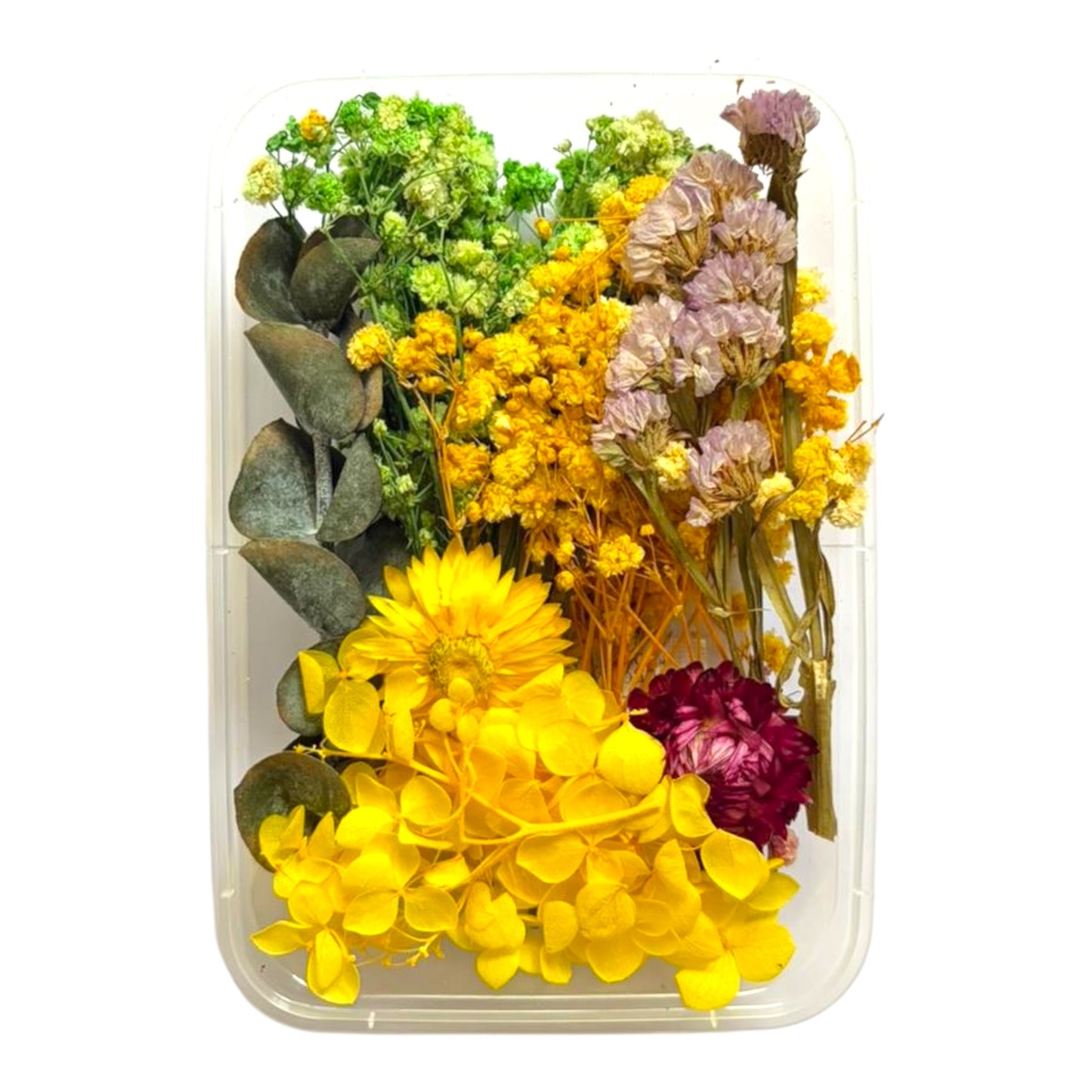 Real dried flowers used in luxury candle decoration and resin embed designs