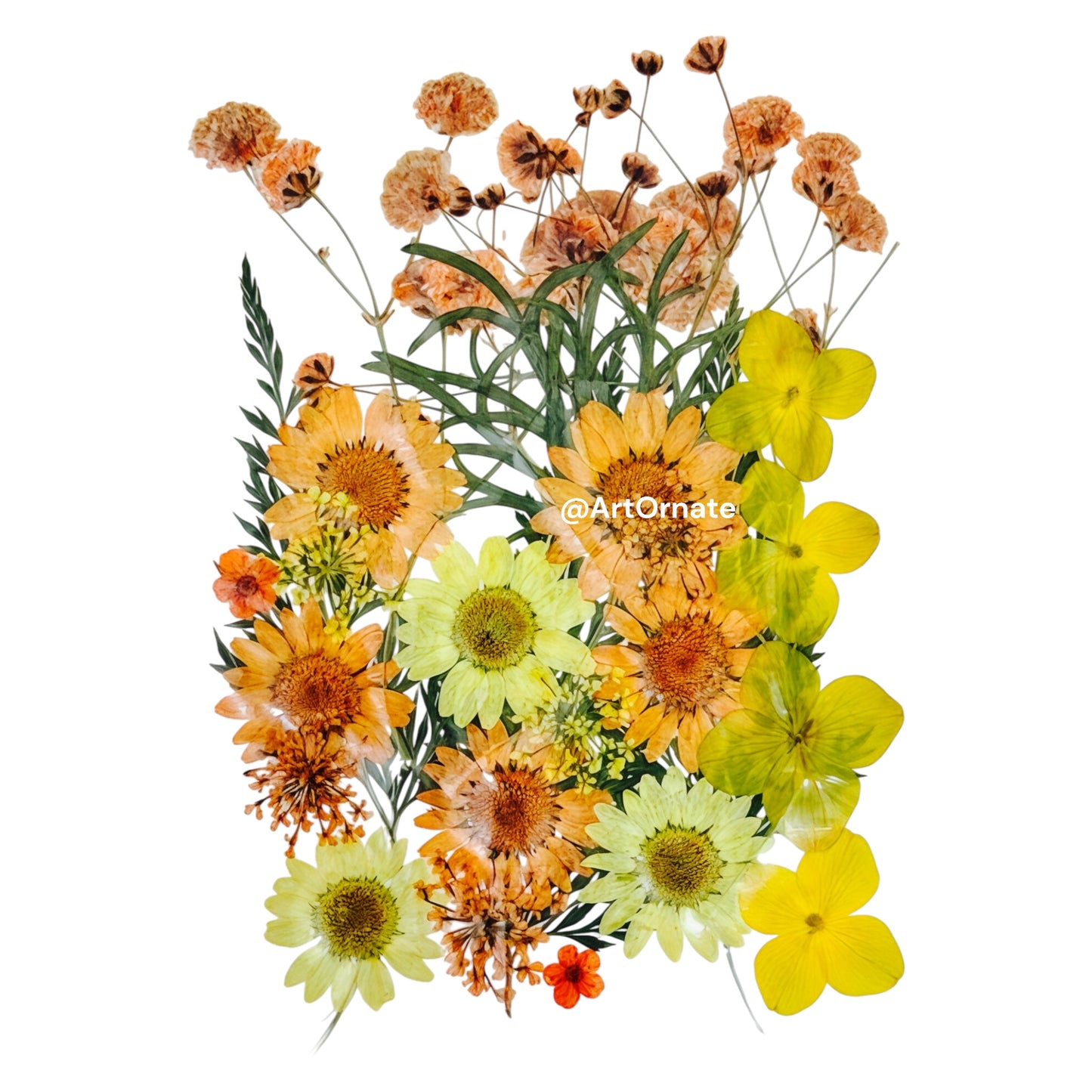 real-flower-decor-material-for-resin-and-candle-art-ahmedabad