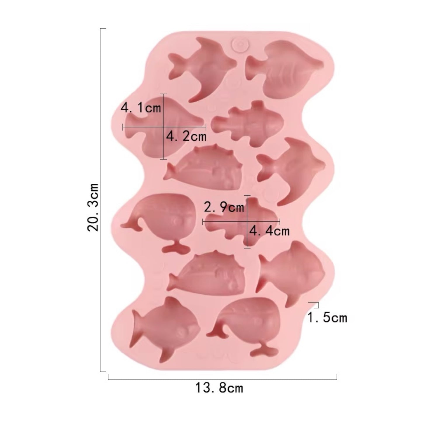 12 Fish Silicone Mould