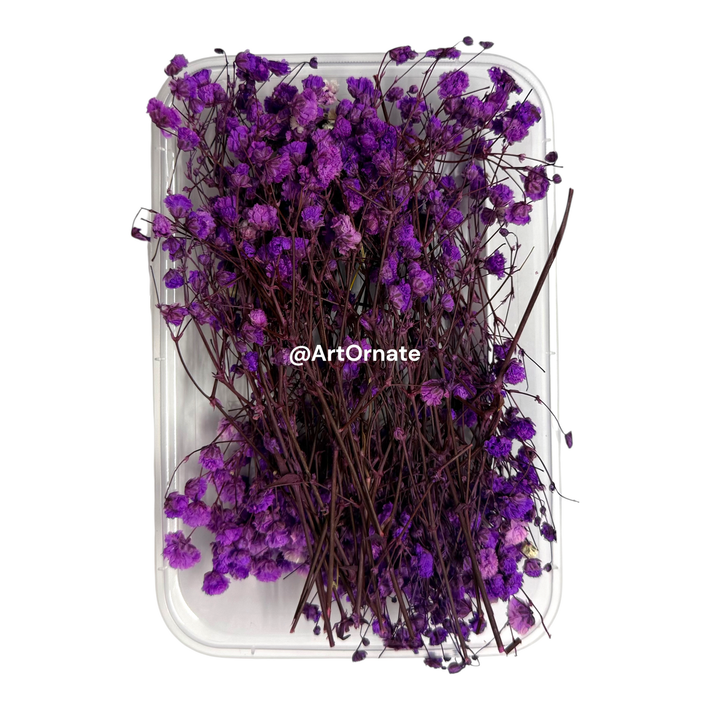 Purple Gypsy / Baby Breath Dry Flower Box (ART106)