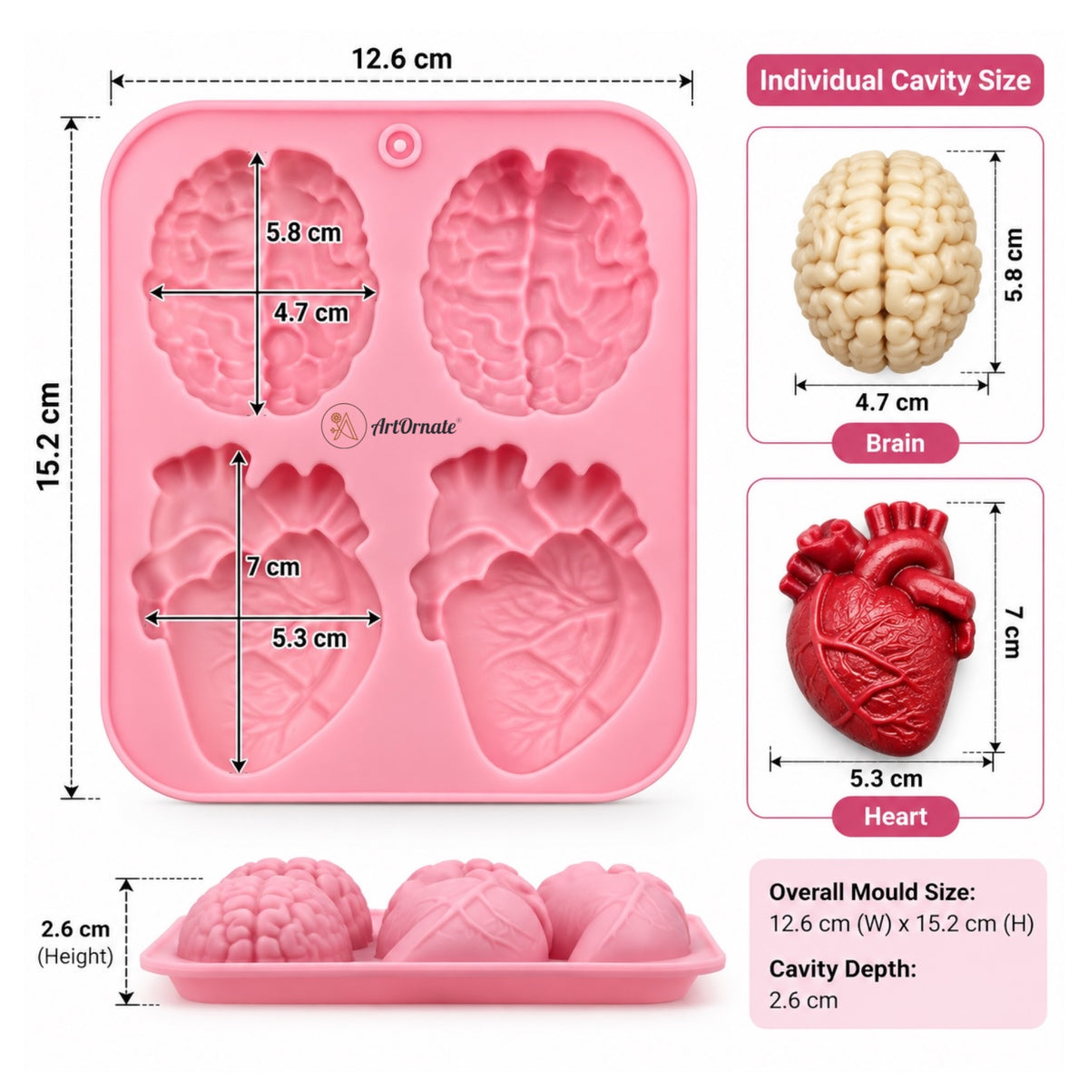 Anatomical Heart Brain Silicone Mould