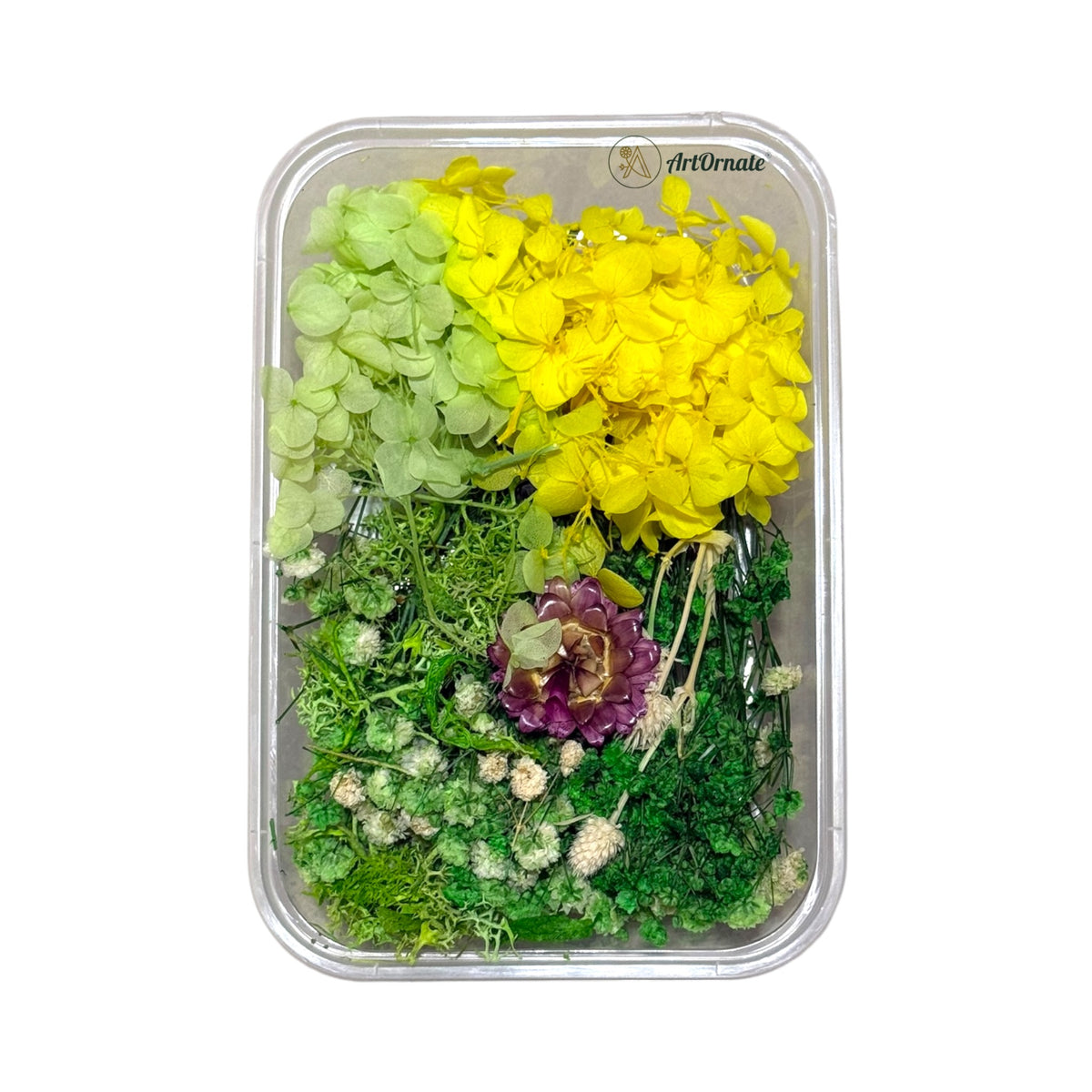 Dry Flower Box (ART25)