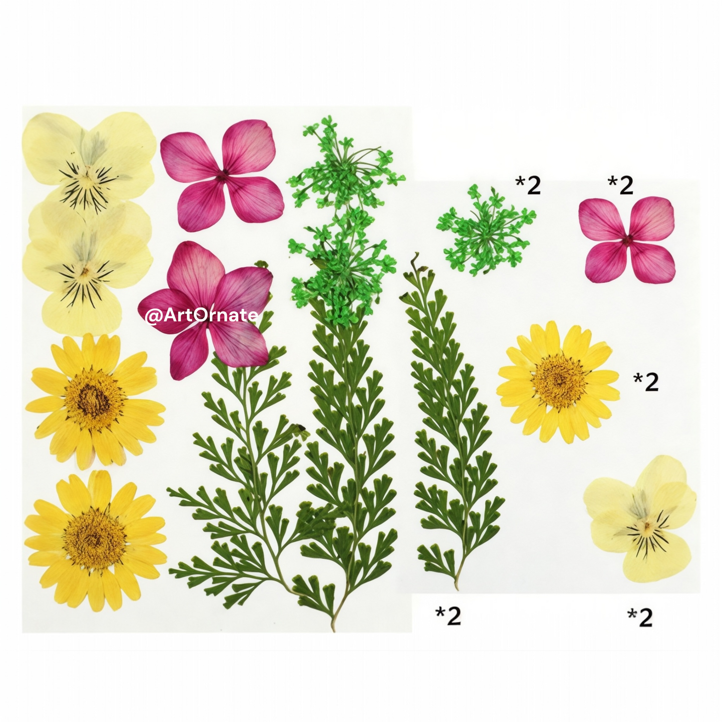 10 IN 1 PRESSED FLOWER (FL009)