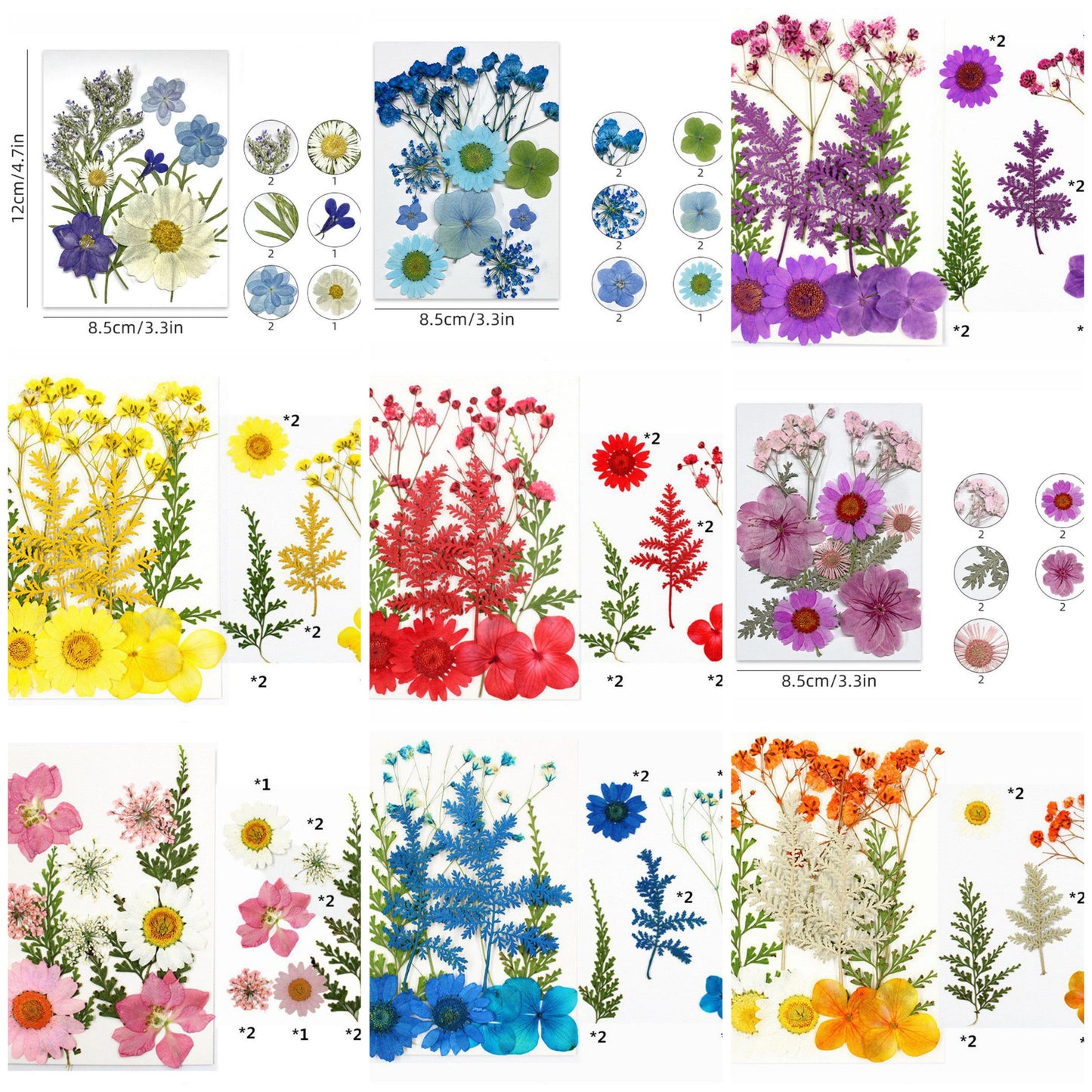 Pressed Flower (Random Design)