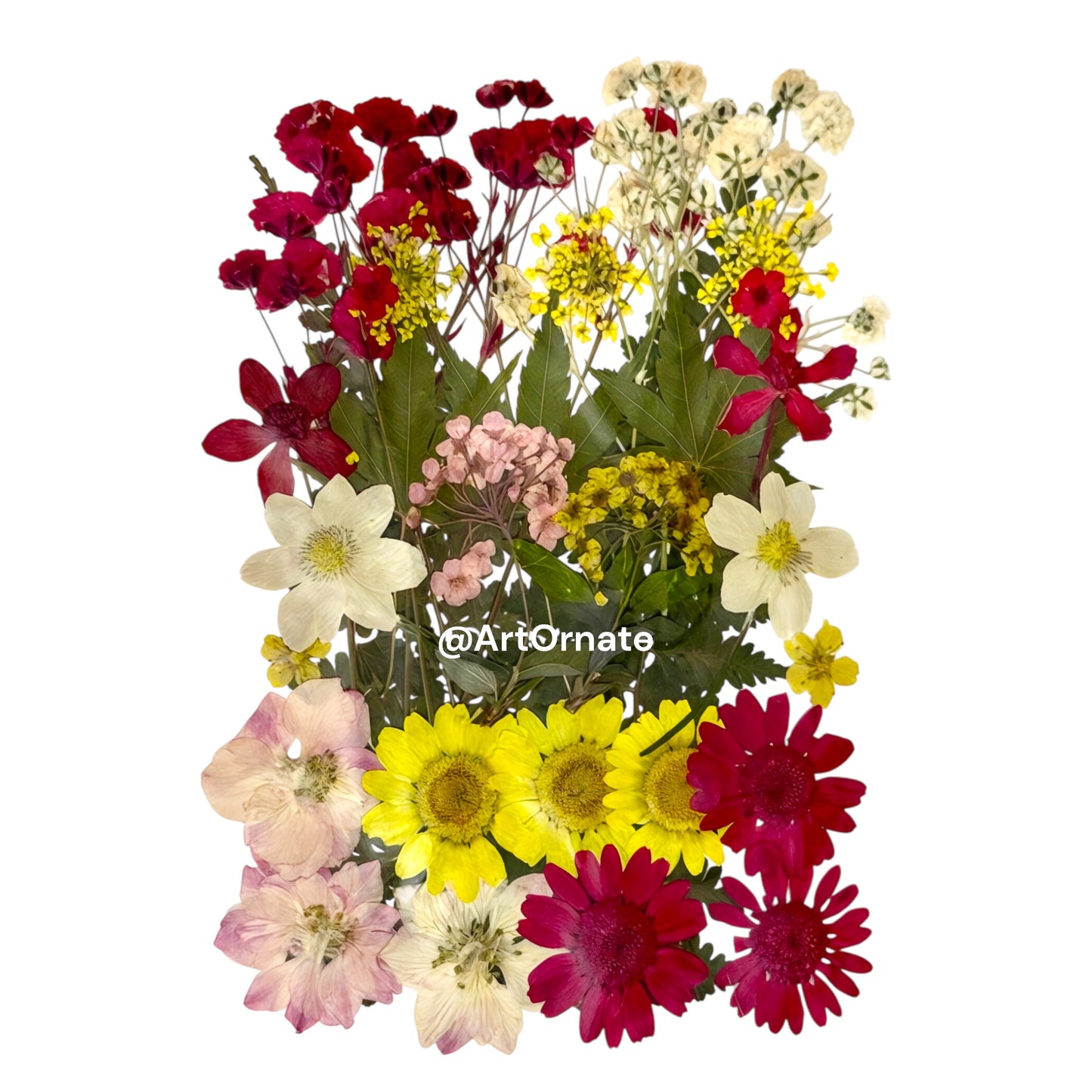 Natural dried flowers for epoxy resin crafts and candle decoration in Ahmedabad