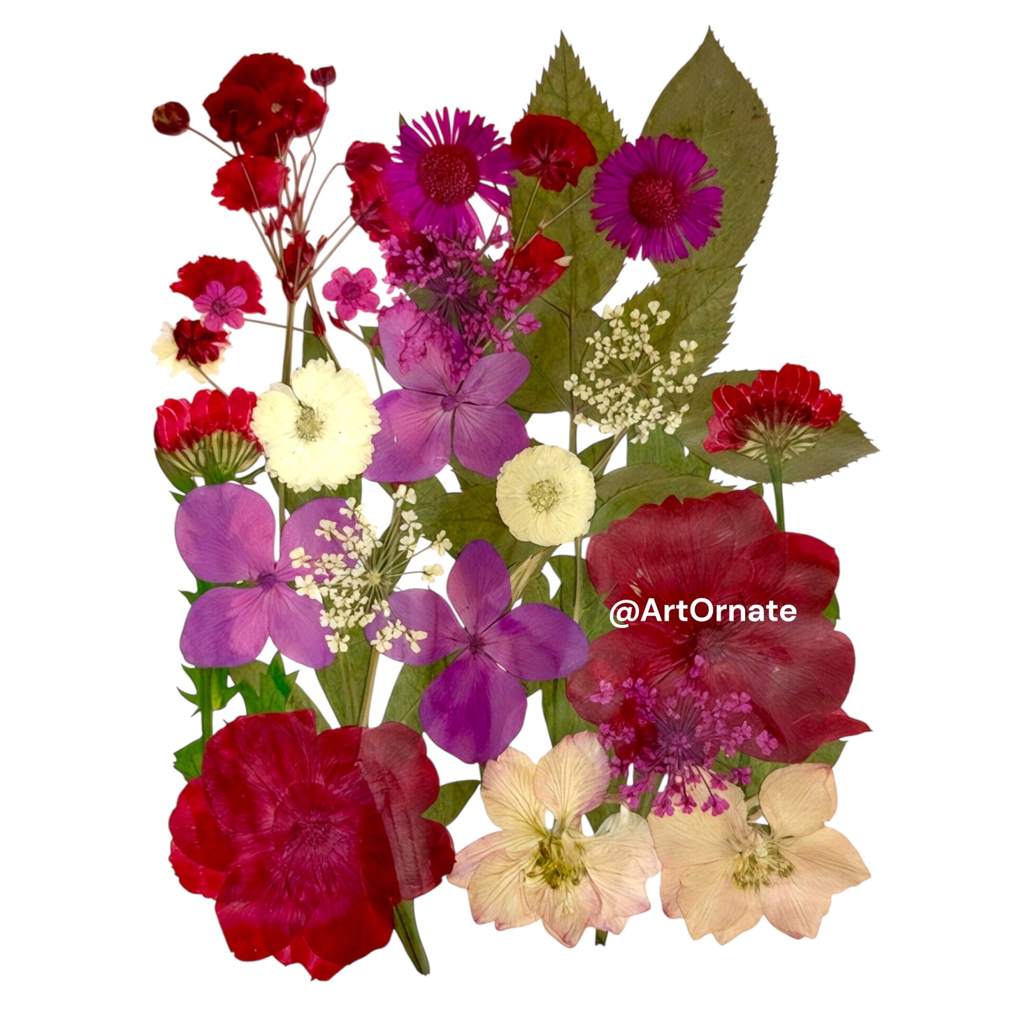 Dried pressed floral mix for resin jewellery and wax candle art in Gujarat