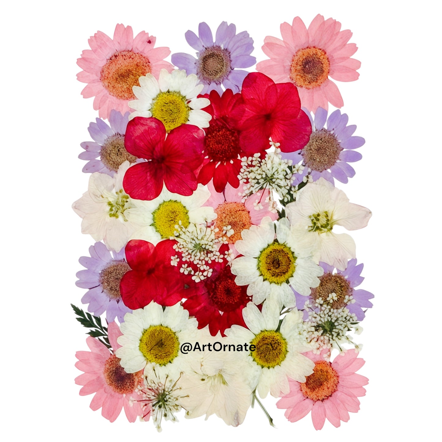 High-quality pressed flowers for resin artists and candle studios in Karnataka