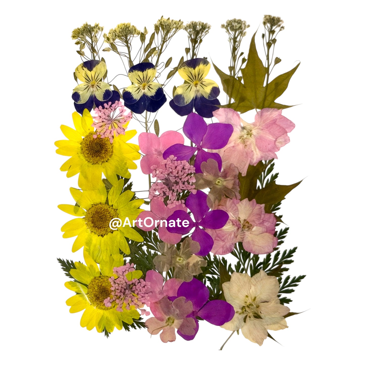 Pressed real dry flowers for resin art and candle making by ArtOrnate India