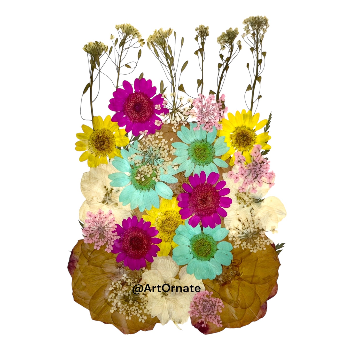 Assorted natural pressed petals for DIY resin crafts and candle decor