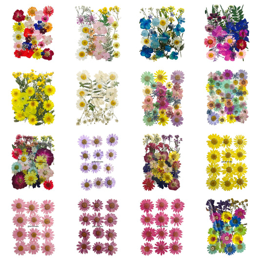 Pressed dried flowers prepared for resin preservation