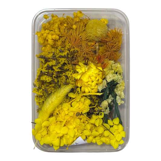 Dry Flower Box (ART12)
