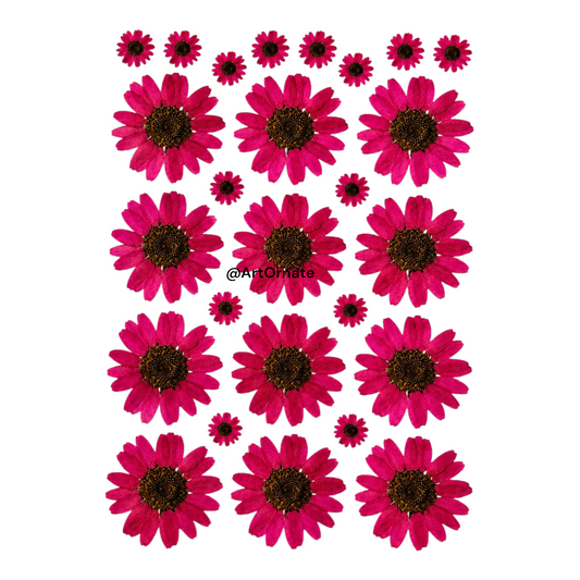 Dark Pink Daisy Flower UV DTF Sticker (UV059)