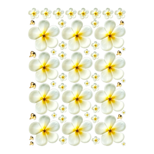 Flower UV DTF Sticker (UV080)