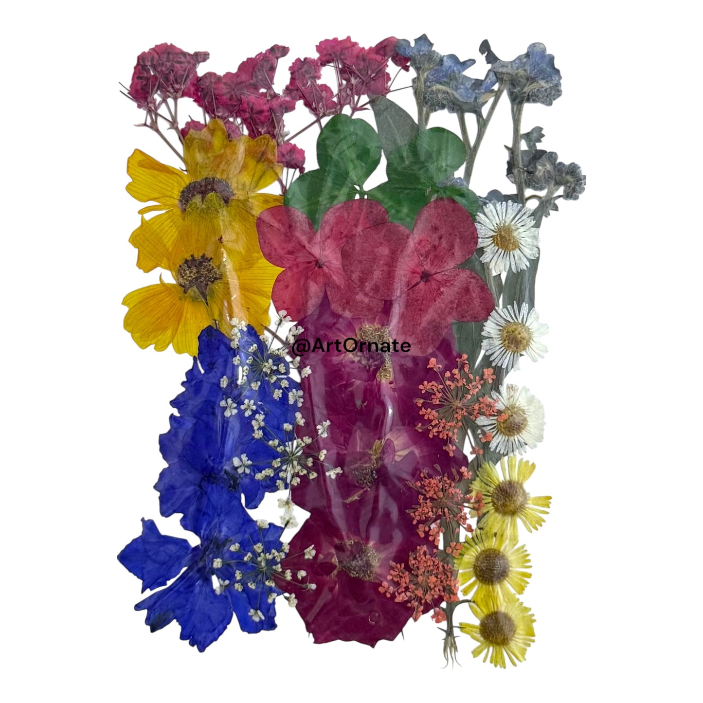 PRESSED FLOWER (FL519)