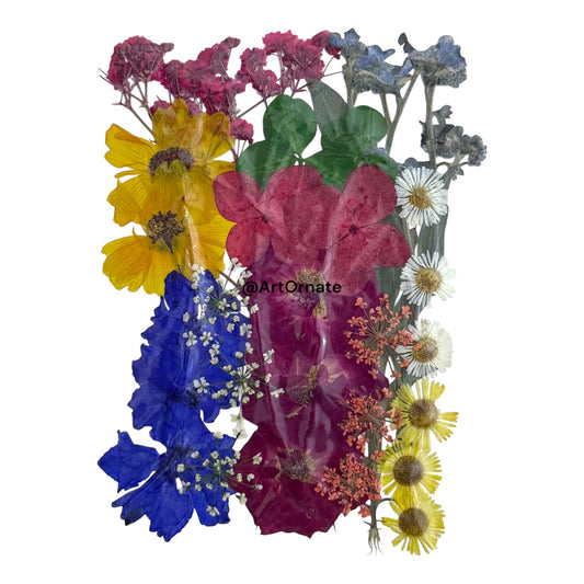 PRESSED FLOWER (FL519)