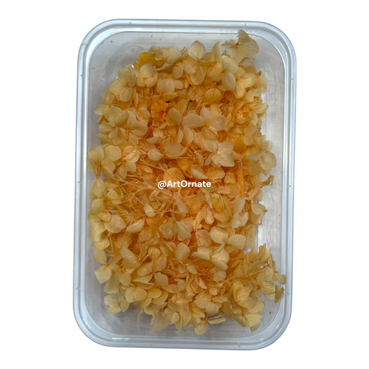 Dry Hydrangea Flower Box (MG20590)