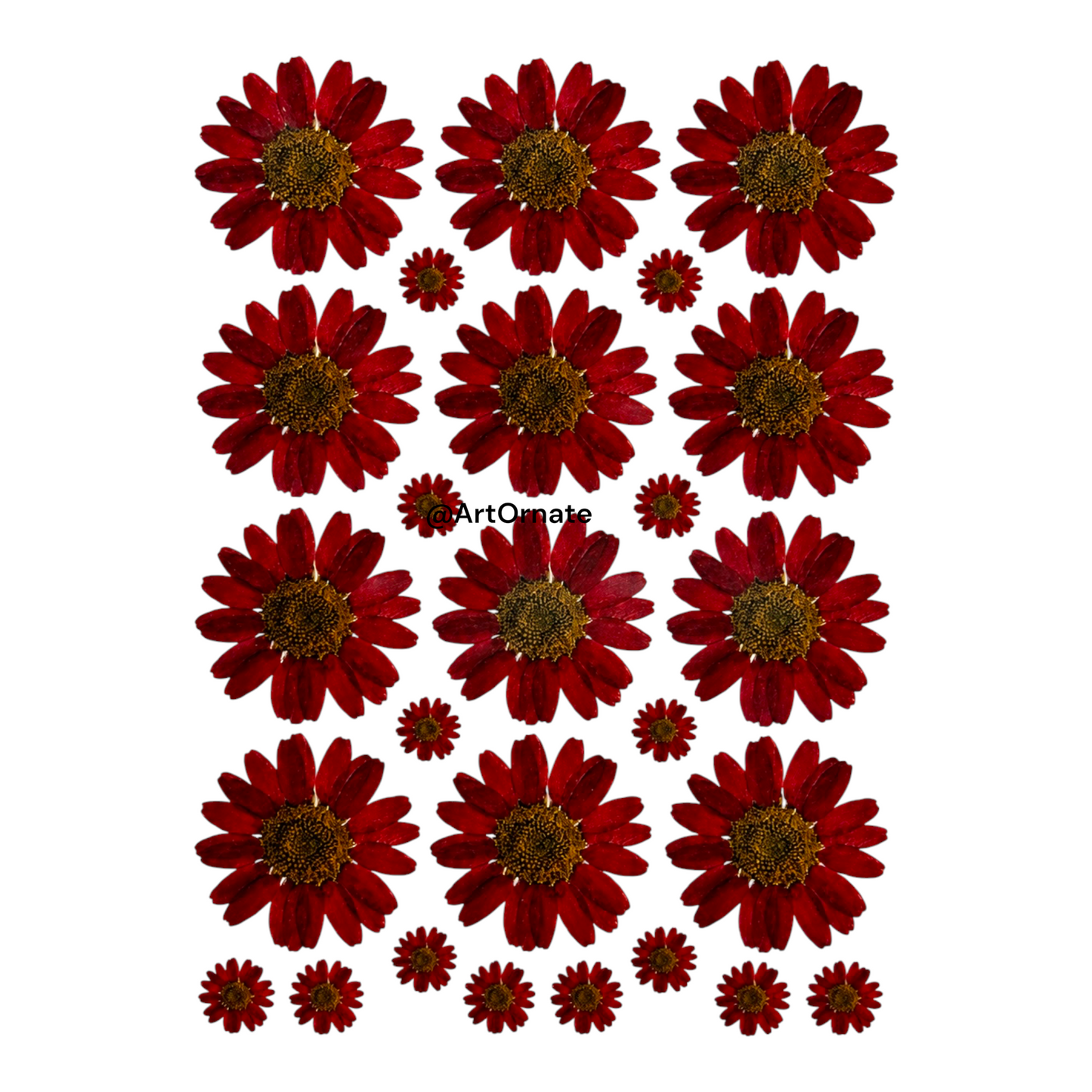 Dark Red Daisy Flower UV DTF Sticker (UV109)