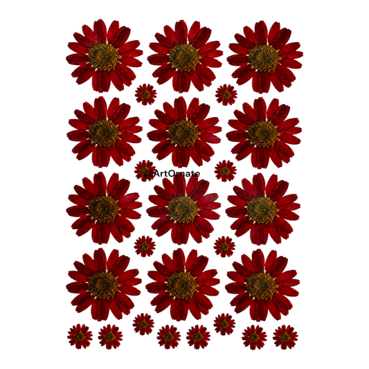 Dark Red Daisy Flower UV DTF Sticker (UV109)