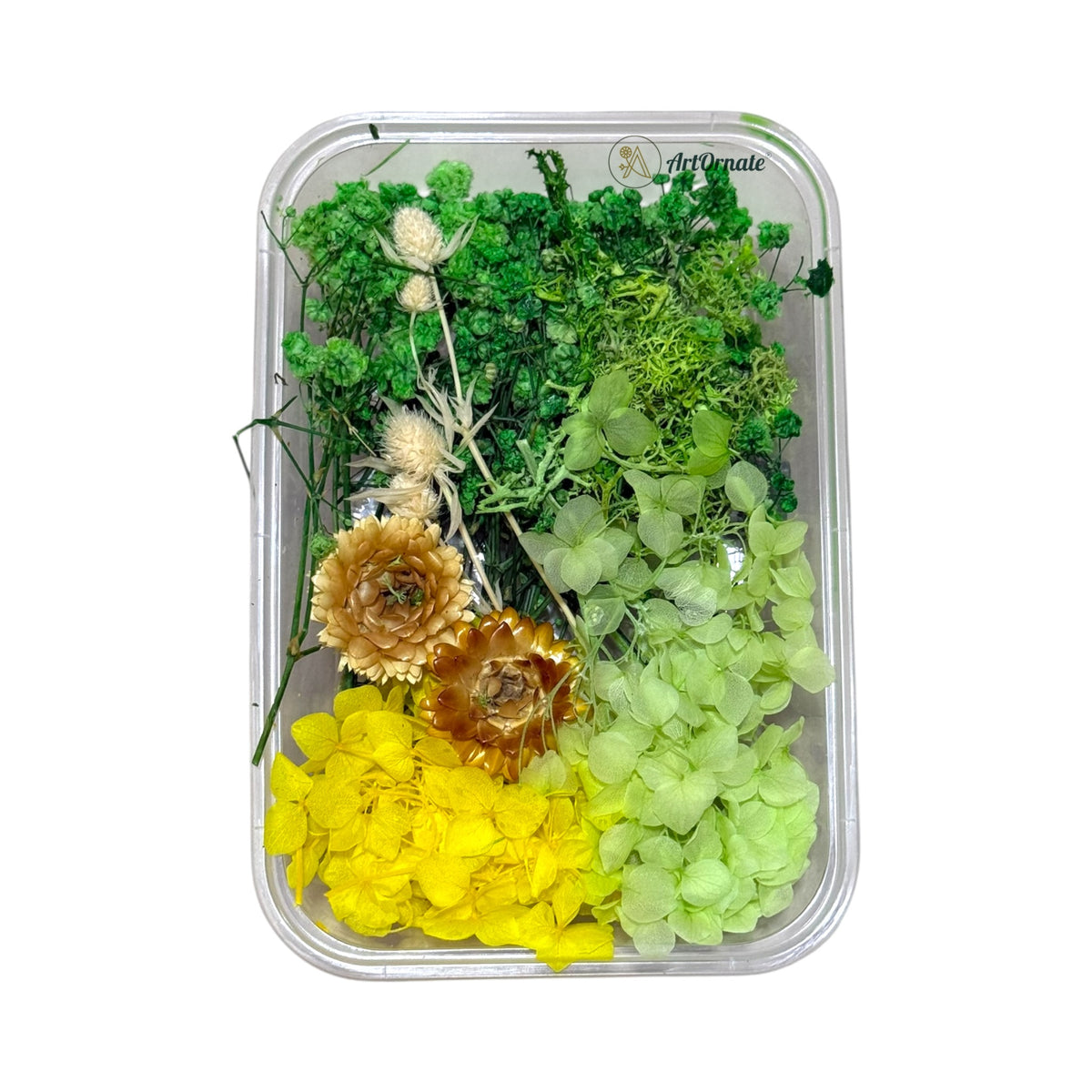 Dry Flower Box (ART30)