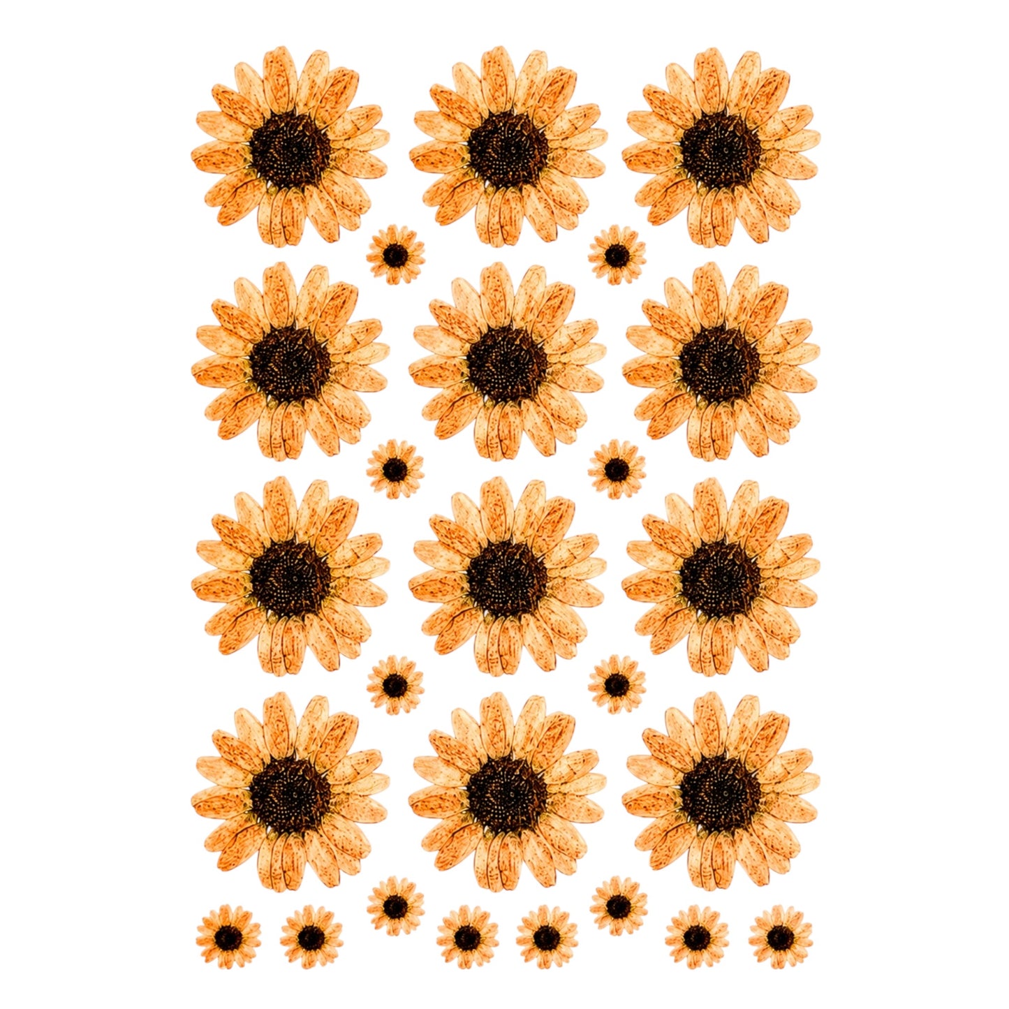 Flower UV DTF Sticker (UV086)