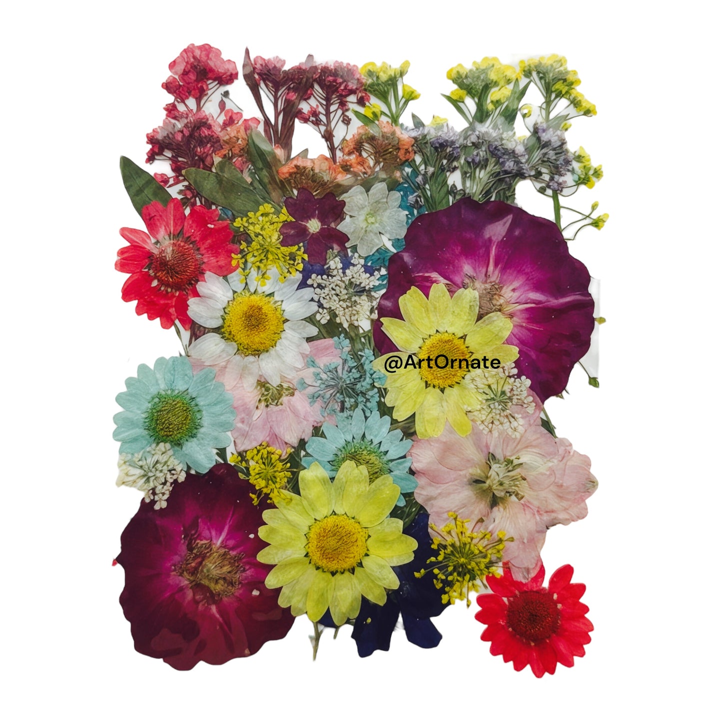 PRESSED FLOWER (FL507)