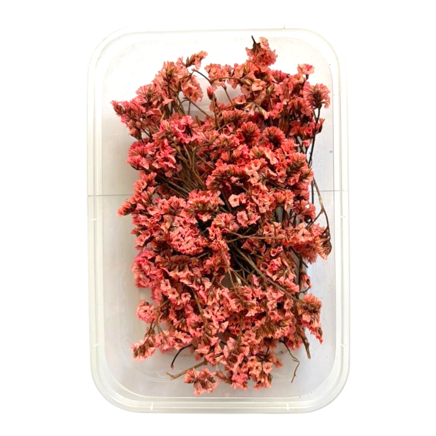 Real dry flowers for professional candle making and resin art across India