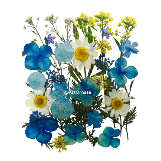 PRESSED FLOWER (FL514)