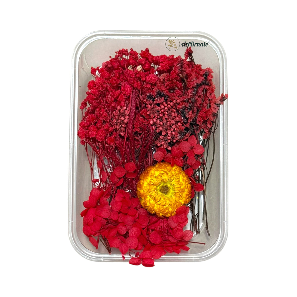 Dry Flower Box (ART24)