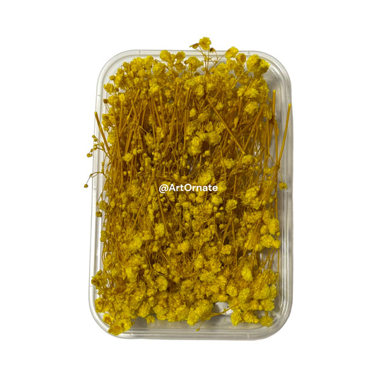 Gypsy dry flower box for resin and candle making, natural dried flowers for epoxy art in India, Ahmedabad