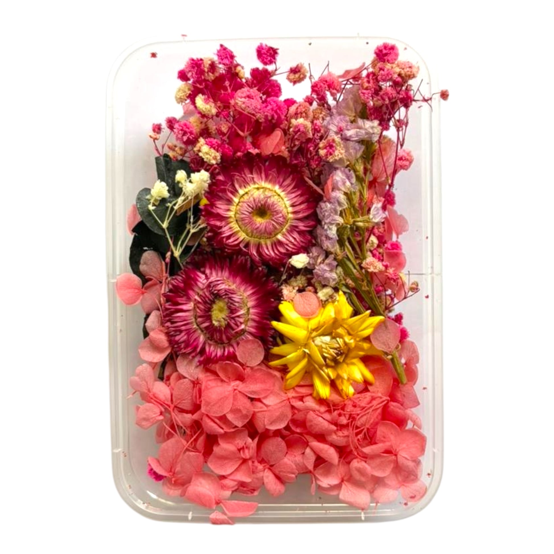 Assorted dry flowers box for resin art supplies and candle making in India