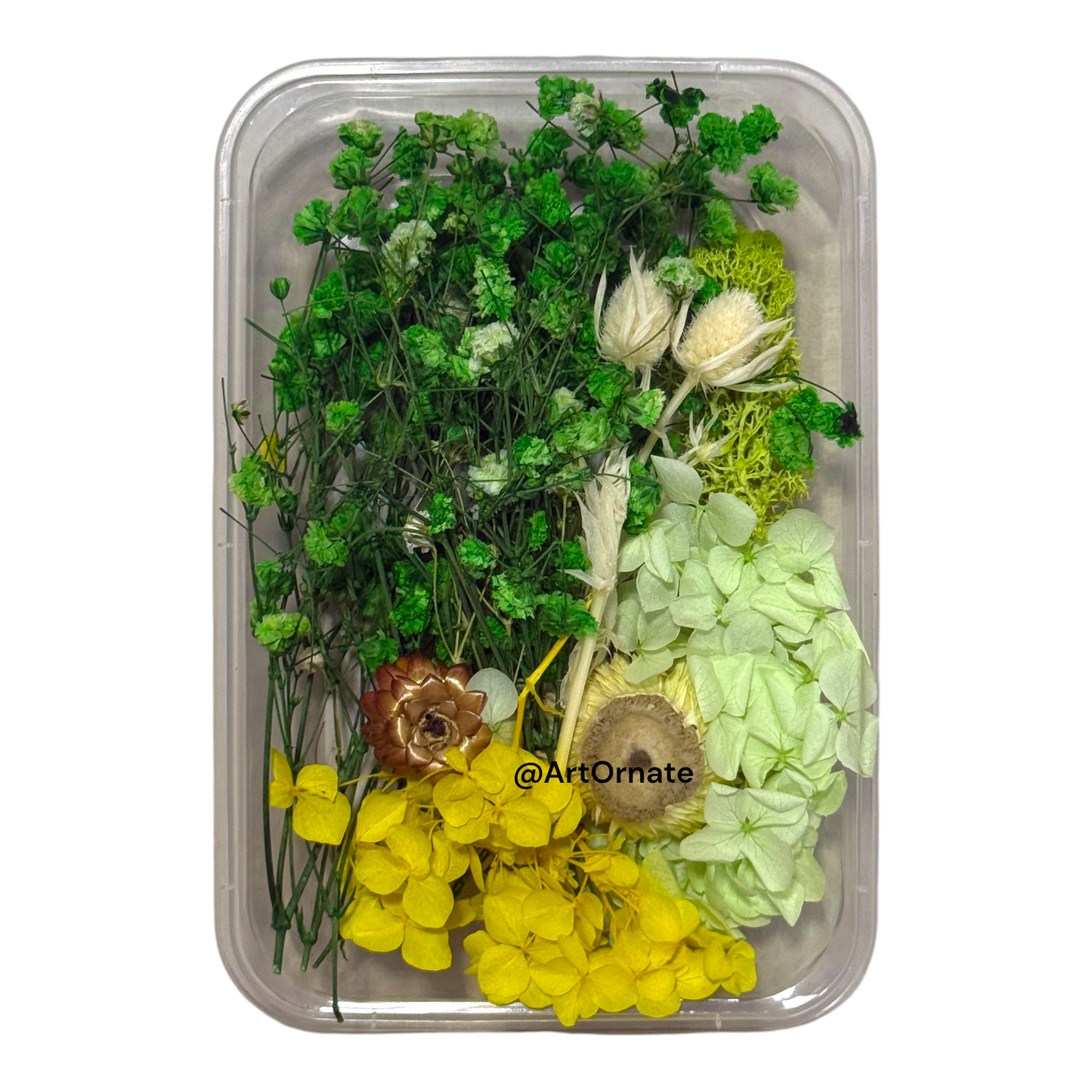 Dry Flower Box (ART10)