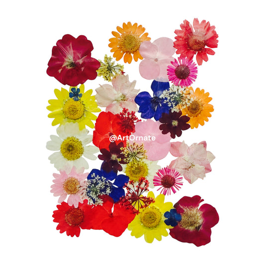 PRESSED FLOWER (FL508)