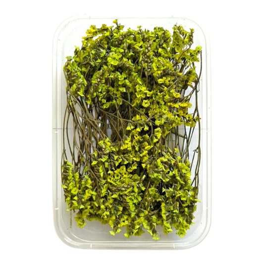 Dry flowers box for resin art, candle making and handmade DIY crafts