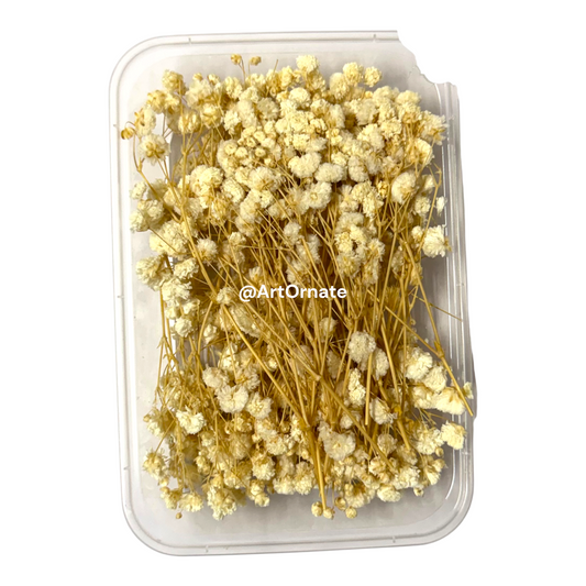 Gypsy style baby birth dry flower box made with resin keepsake frame for newborn memories in Ahmedabad India