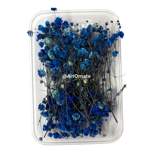 Blue Gypsy / Baby Breath Dry Flower Box (ART108)