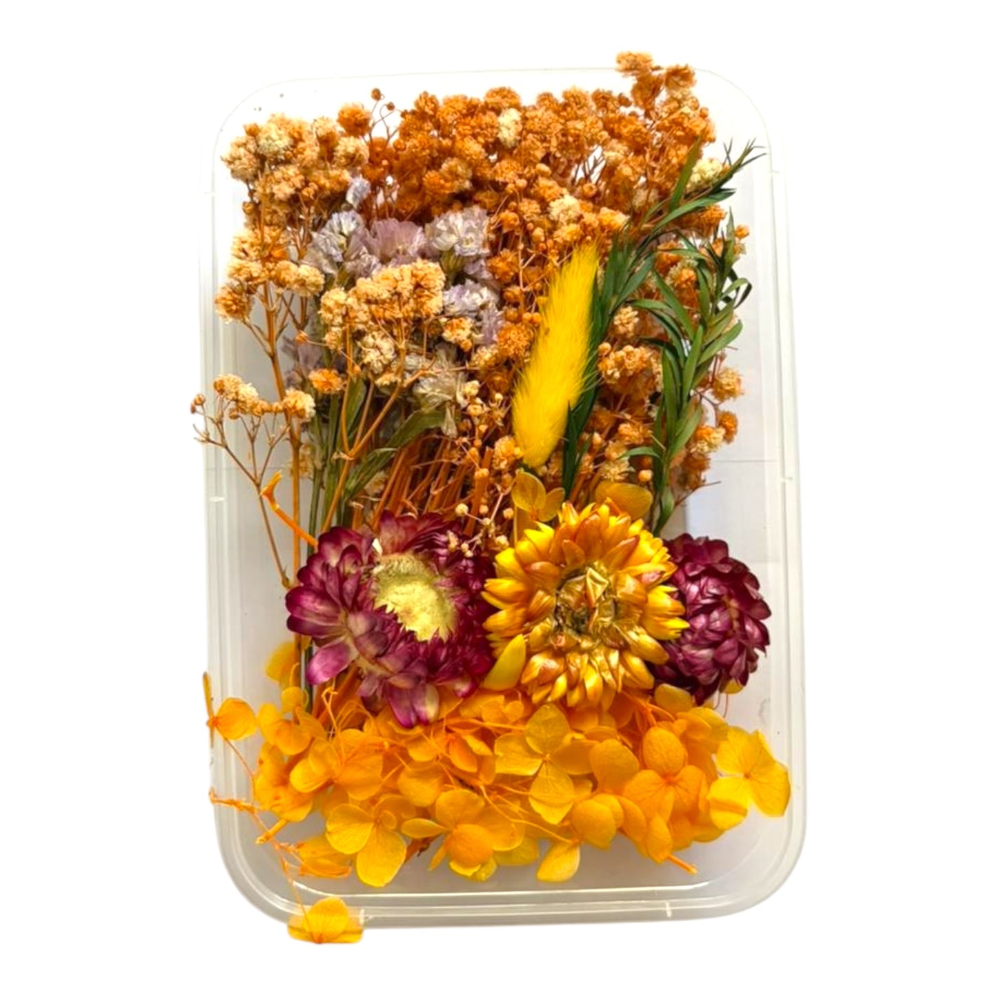 Real dried flowers box for handmade resin art and professional candle making