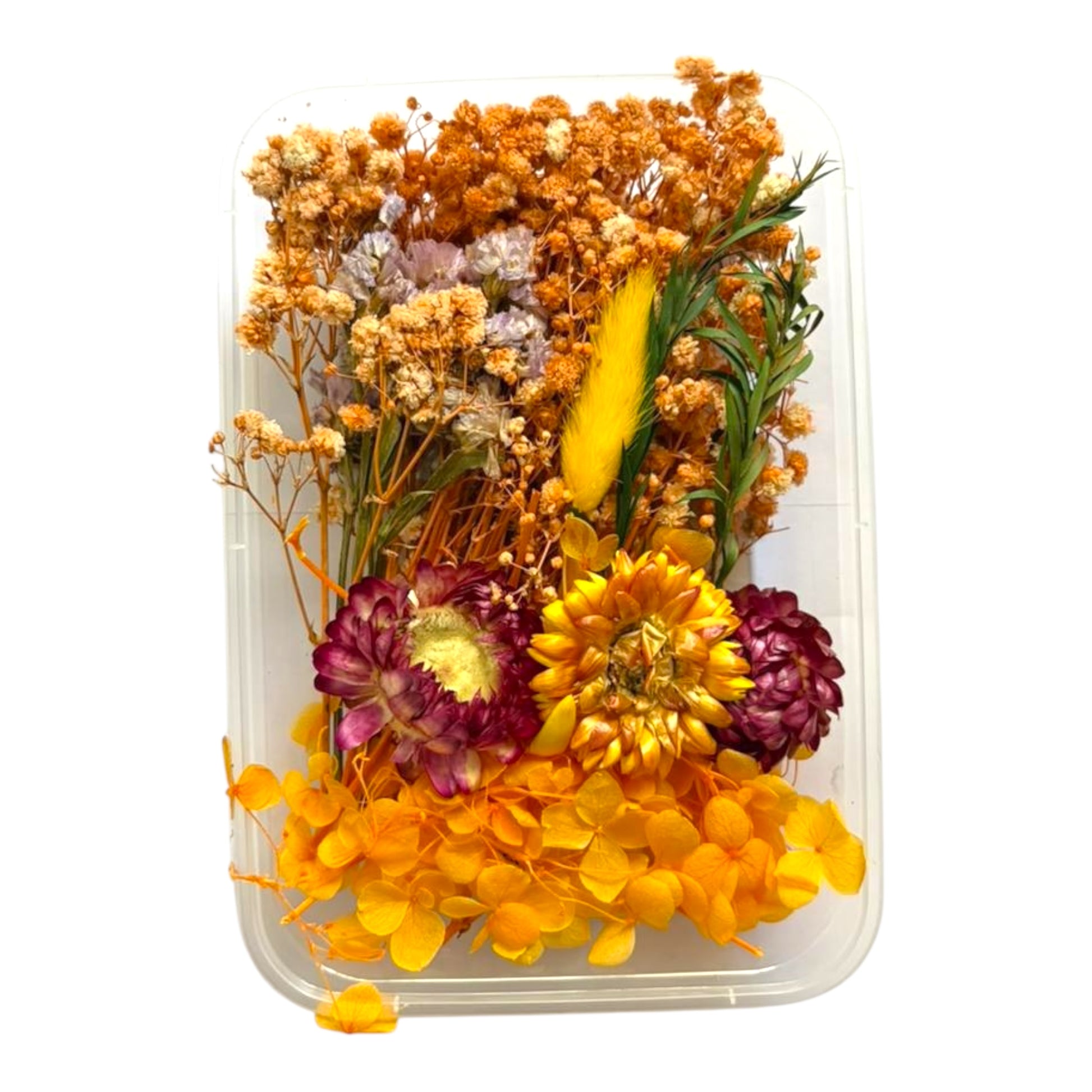 Real dried flowers box for handmade resin art and professional candle making